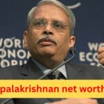 kris gopalakrishnan net worth 2025